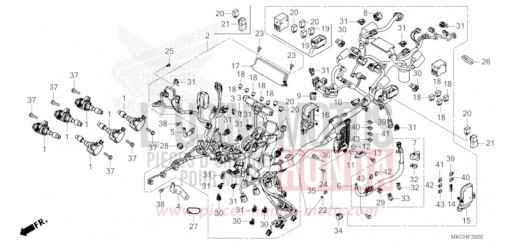 FAISCEAU DES FILS GL1800M de 2021